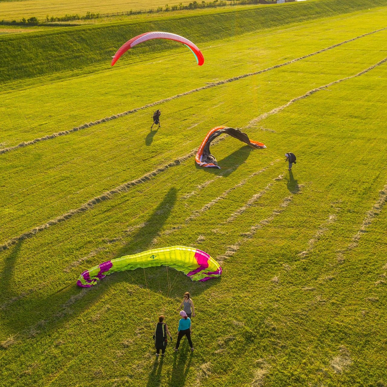 IMG 20190616 115515 029